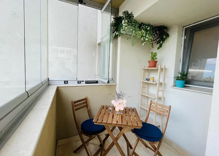 Marc House 布加勒斯特